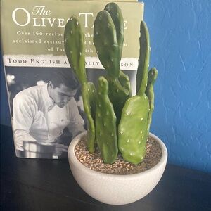 Threshold Green and White Decorative Cactus Accent